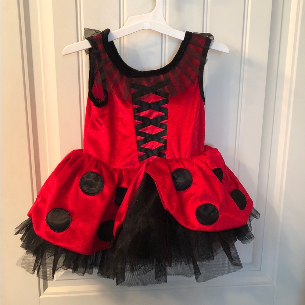 Red and Black Ladybug Tutu Costume Dress for Kids